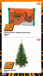 Gazetka promocyjna Action - Gazetka - ważna od 03.12 do 03.12.2024 - strona 19 - produkty: Ciastka, Por, Choinka, Inka