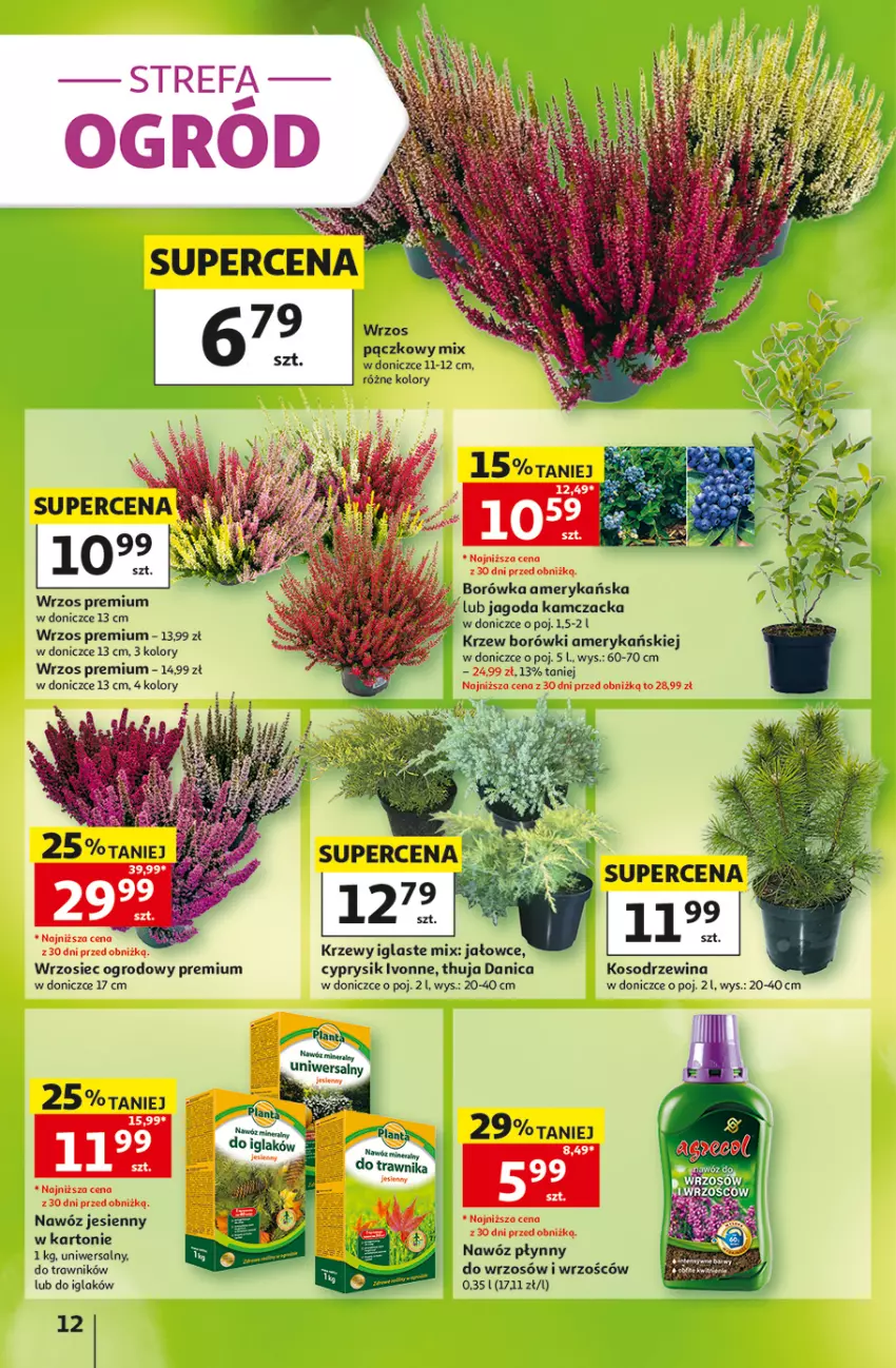 Gazetka promocyjna Auchan - 30 Lat Hipermarket - ważna 10.09 do 16.09.2026 - strona 12 - produkty: Borówka, Borówka amerykańska, Cyprysik, Fa, Nawóz, Ogród