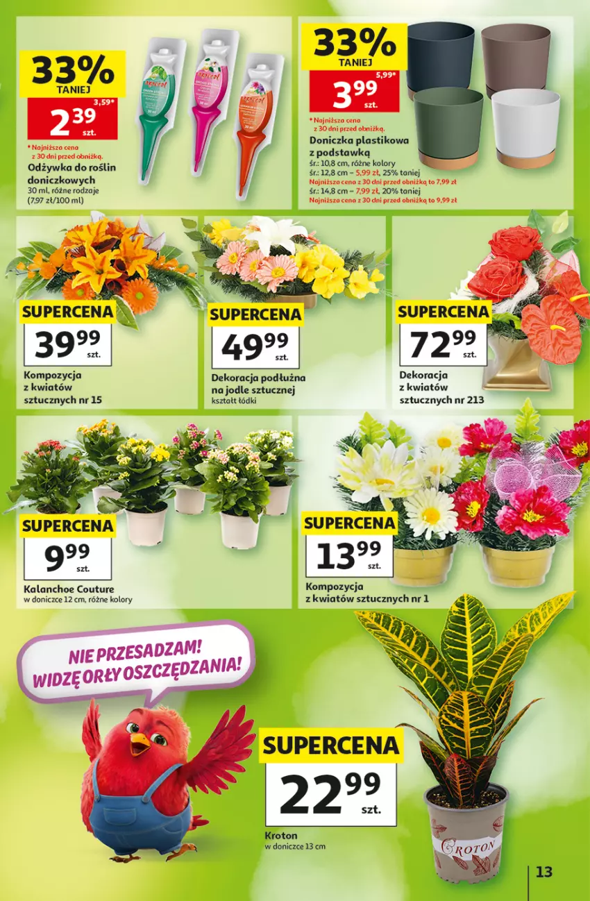 Gazetka promocyjna Auchan - 30 Lat Hipermarket - ważna 10.09 do 16.09.2026 - strona 13 - produkty: Kalanchoe