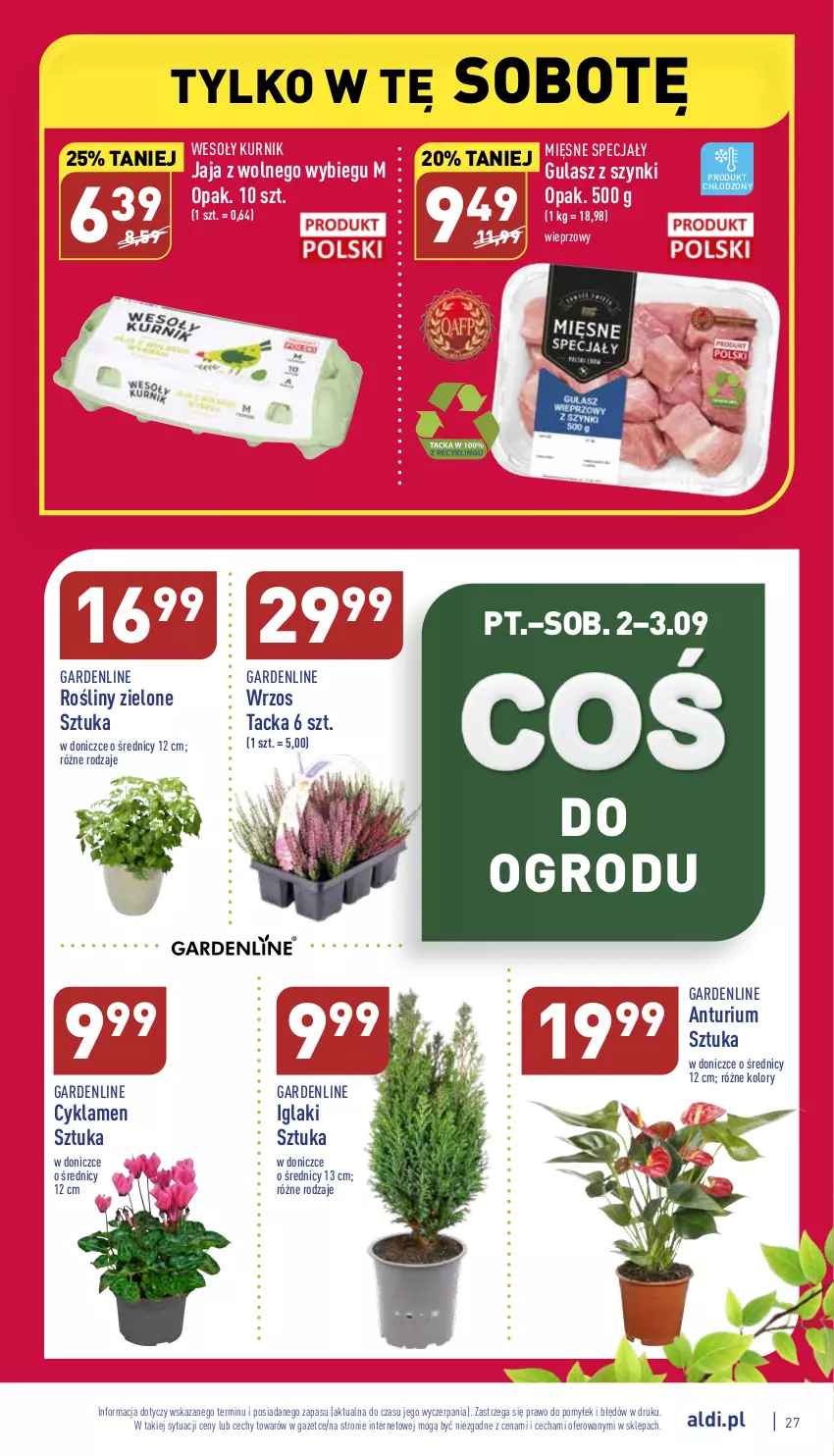 Gazetka promocyjna Aldi - Katalog spożywczy - ważna 29.08 do 03.09.2022 - strona 27 - produkty: Cyklamen, Jaja, Jaja z wolnego wybiegu, Mięsne specjały