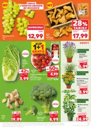 Gazetka promocyjna Kaufland - Gazetka tygodnia - Gazetka - ważna od 09.07 do 09.07.2025 - strona 17 - produkty: Koc, Gra, Chryzantema, Winogrona, Kocia trawa, Owoce, Wino, Grunt, Pomidory, Imbir