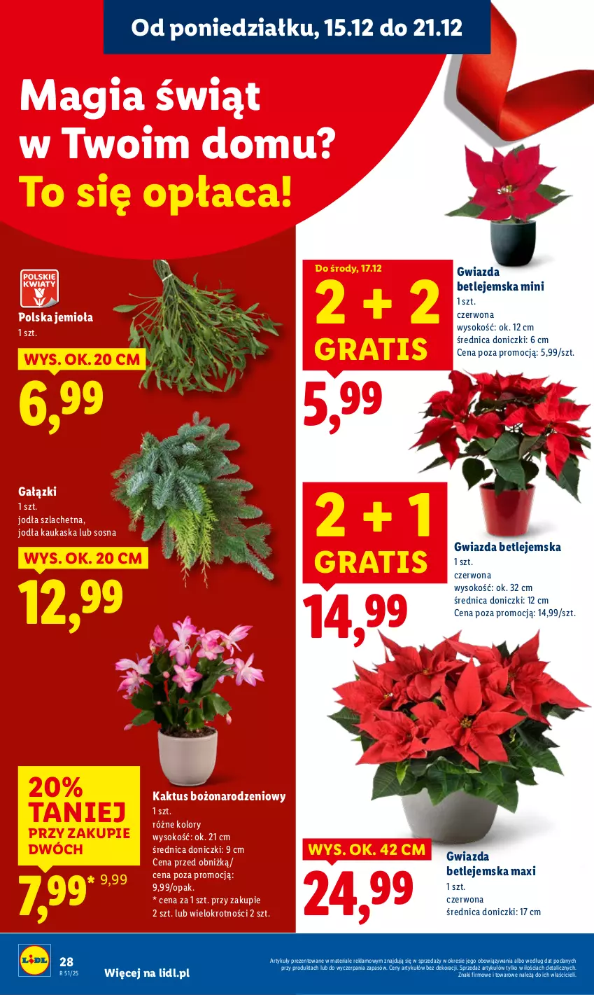 Gazetka promocyjna Lidl - GAZETKA - ważna 15.12 do 17.12.2025 - strona 30 - produkty: Gra, Gwiazda, Kaktus, Kask, Sok, Sos