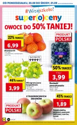 Gazetka promocyjna Lidl - GAZETKA - Gazetka - ważna od 01.09 do 01.09.2021 - strona 12 - produkty: Mandarynki, Por, Winogrona, Owoce, Wino, Jabłka