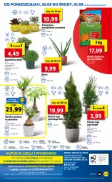 Gazetka promocyjna Lidl - GAZETKA - Gazetka - ważna od 01.09 do 01.09.2021 - strona 49 - produkty: Sok, Por, Gry, Inka, Cień, O nas, Kalanchoe, Mola, Nawóz
