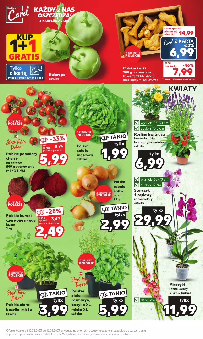 Gazetka promocyjna Kaufland - Mocny Start - ważna 14.08 do 16.08.2023 - strona 9 - produkty: Bazyl, Bazylia, Bukiet, Buraki, Cebula, Gra, Grunt, Masło, Miecz, Mięta, Papryka, Pomidory, Róża, Sałat, Sałata masłowa, Storczyk