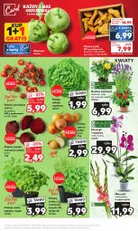 Gazetka promocyjna Kaufland - Mocny Start - Gazetka - ważna od 16.08 do 16.08.2023 - strona 9 - produkty: Cebula, Gra, Sałata masłowa, Róża, Papryka, Sałat, Storczyk, Buraki, Bukiet, Bazyl, Bazylia, Grunt, Masło, Pomidory, Mięta, Miecz