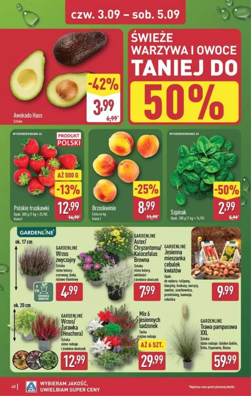 Gazetka promocyjna Aldi - Pełna oferta - ważna 31.08 do 05.09.2026 - strona 40 - produkty: Chryzantema, Fa, Hiacynt, Krokus, Narcyz, Owoce, Szpinak, Truskawki, Warzywa, Warzywa i owoce
