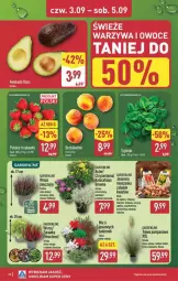 Gazetka promocyjna Aldi - Pełna oferta - Gazetka - ważna od 05.09 do 05.09.2026 - strona 40 - produkty: Warzywa, Hiacynt, Chryzantema, Truskawki, Warzywa i owoce, Narcyz, Owoce, Krokus, Szpinak, Fa