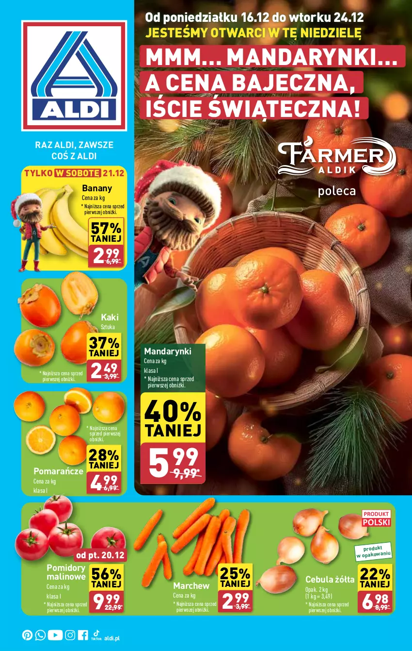 Gazetka promocyjna Aldi - Farmer ALDIK poleca świeże owoce i warzywa - ważna 16.12 do 24.12.2024 - strona 1 - produkty: Banany, Cebula, Kaki, Mandarynki, Pomarańcze, Pomidory