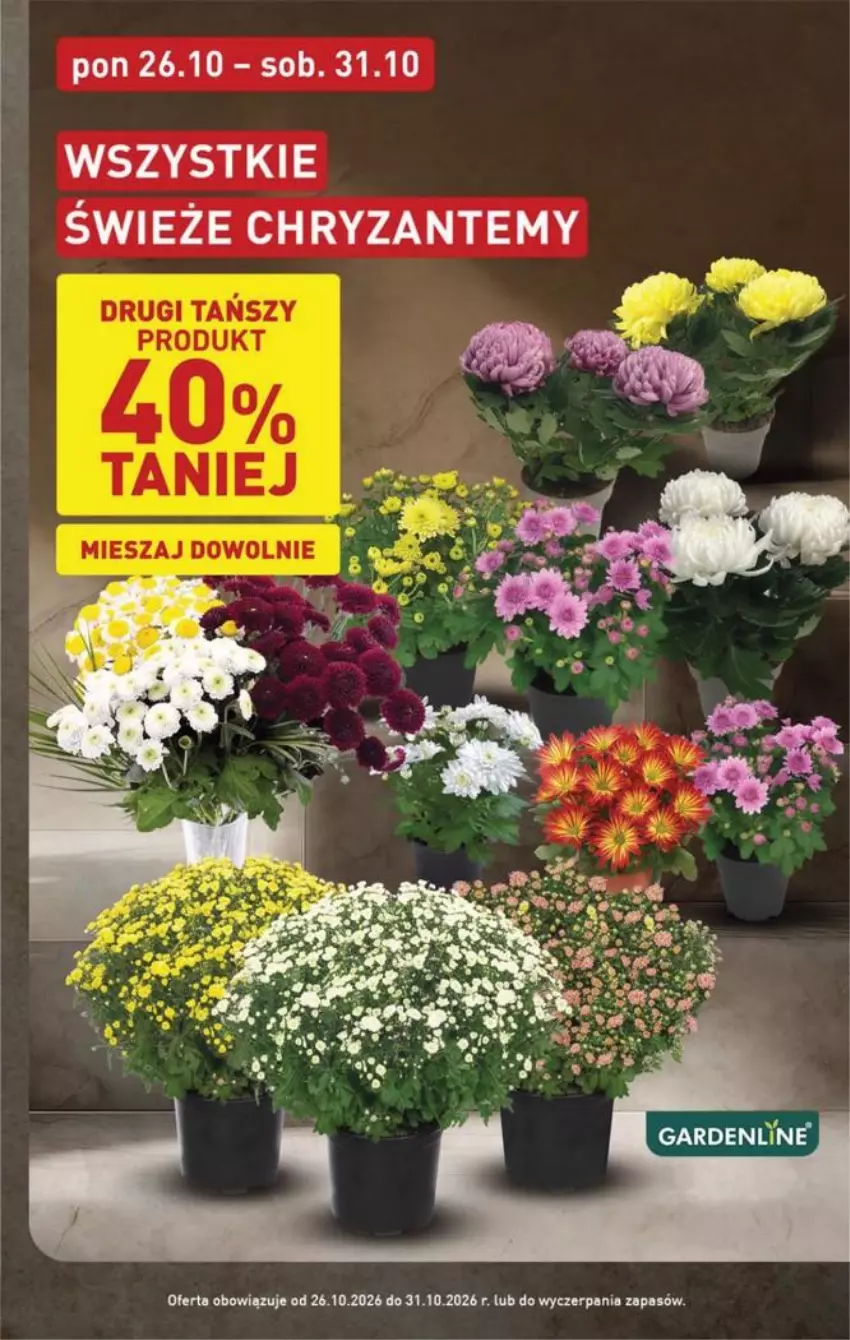 Gazetka promocyjna Aldi - Pełna oferta - ważna 26.10 do 31.10.2026 - strona 3