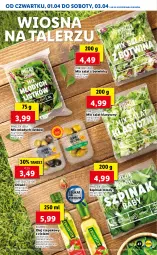 Gazetka promocyjna Lidl - GAZETKA - Gazetka - ważna od 03.04 do 03.04.2021 - strona 47 - produkty: Kujawski, Oliwki, Papryka, Czosnek, Sałat, Talerz, Bazyl, Olej rzepakowy, Olej, Szpinak