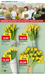 Gazetka promocyjna Lidl - GAZETKA - Gazetka - ważna od 03.04 do 03.04.2021 - strona 62 - produkty: Tulipan, Bukiet