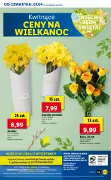 Gazetka promocyjna Lidl - GAZETKA - Gazetka - ważna od 03.04 do 03.04.2021 - strona 63 - produkty: Bukiet