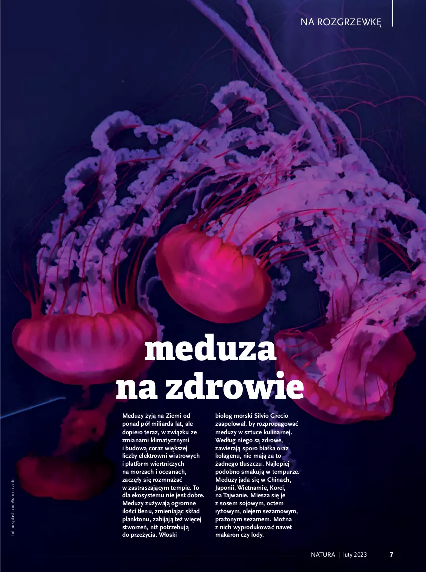 Gazetka promocyjna Drogerie Natura - Gazetka Drogerie Natura - ważna 01.02 do 28.02.2023 - strona 7 - produkty: Kolagen, Lody, Makaron, Mus, Narty, Olej, Por, Pur, Ryż, Sanki, Sezam, Sos, Tera, Zdrowie