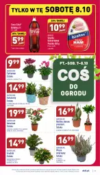 Gazetka promocyjna Aldi - Pełny katalog - Gazetka - ważna od 08.10 do 08.10.2022 - strona 27 - produkty: Krakus, Sok, Ser, Cyklamen, Coca-Cola, Szynka konserwowa, Szynka, Gala, Sukulent