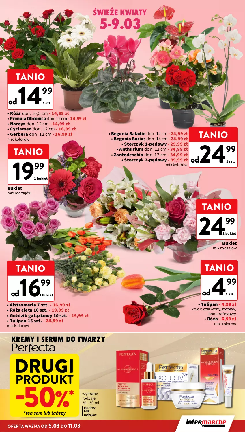 Gazetka promocyjna Intermarche - Gazetka promocyjna - ważna 05.03 do 11.03.2026 - strona 11 - produkty: Bukiet, Chia, Gerber, Narcyz, Primula, Róża, Rum, Ser, Serum, Serum do twarzy, Storczyk, Tulipan