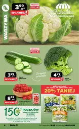 Gazetka promocyjna Netto - Od Czwartku - Gazetka - ważna od 20.06 do 20.06.2026 - strona 4 - produkty: Kalafior, Warzywa, Ogórek, Sałat, Grill