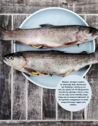 Gazetka promocyjna Drogerie Natura - Gazetka Drogerie Natura - Gazetka - ważna od 30.06 do 30.06.2022 - strona 28 - produkty: Gra, Talerz, Mintaj