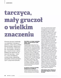 Gazetka promocyjna Drogerie Natura - Gazetka Drogerie Natura - Gazetka - ważna od 30.06 do 30.06.2022 - strona 38 - produkty: Ser, Zdrowie, LG