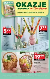 Gazetka promocyjna Biedronka - Od Poniedziałku - Gazetka - ważna od 05.04 do 05.04.2025 - strona 64 - produkty: Kosz, Palma