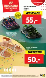 Gazetka promocyjna Lidl - GAZETKA - Gazetka - ważna od 06.05 do 06.05.2023 - strona 45 - produkty: Sok, Por, Sandał