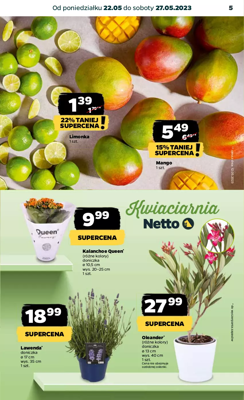 Gazetka promocyjna Netto - Artykuły spożywcze - ważna 22.05 do 27.05.2023 - strona 5 - produkty: Kalanchoe, Limonka, Mango, NOWAK, Owoce, Warzywa