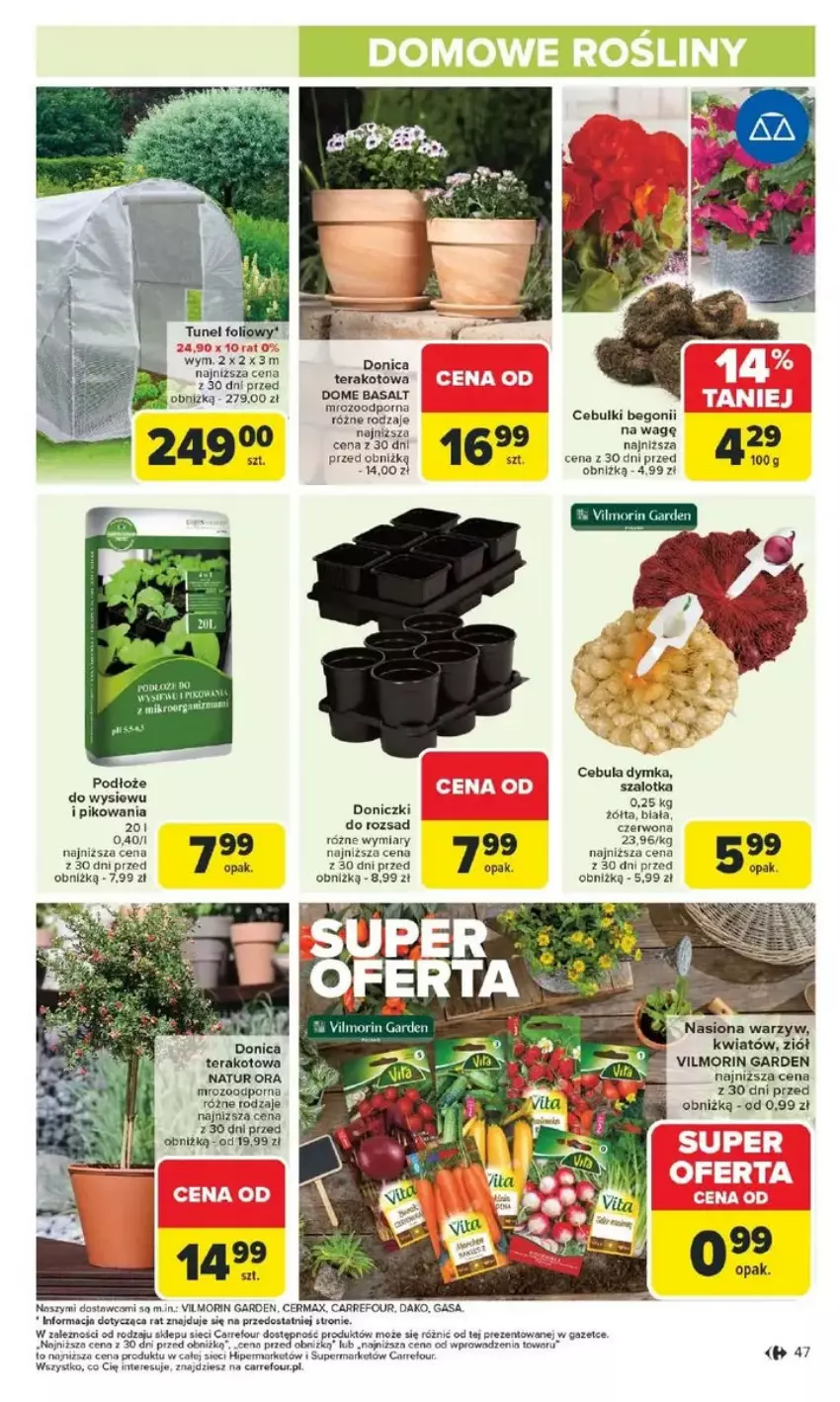 Gazetka promocyjna Carrefour - ważna 10.02 do 15.02.2025 - strona 42 - produkty: Cebula, Gaga, Por, Pur, Szal, Tera, Tunel