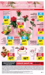 Gazetka promocyjna Carrefour - Gazetka - ważna od 15.02 do 15.02.2025 - strona 51 - produkty: Top, Sok, NBA, Gra, Inka, Róża, Praliny, Kosz, Tran, Wawel, Bukiet, Merci, LG, Fa
