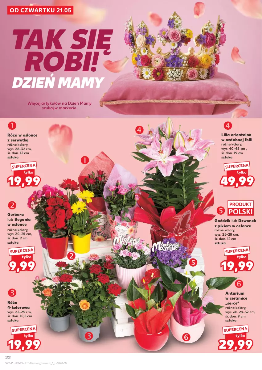 Gazetka promocyjna Kaufland - Gazetka tygodnia - ważna 21.05 do 27.05.2026 - strona 22 - produkty: Dzwonek, Gerber, Róża, Ser