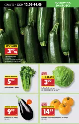 Gazetka promocyjna Biedronka - Od Czwartku - Gazetka - ważna od 18.06 do 18.06.2025 - strona 24 - produkty: Ser, Sałata lodowa, Sałat