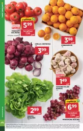 Gazetka promocyjna Stokrotka - Supermarket - Gazetka - ważna od 14.10 do 14.10.2026 - strona 12 - produkty: Cebula czerwona, Cebula, Warzywa, Sałata masłowa, Czosnek, Pomarańcze, Sałat, Optima, Winogrona, Owoce, Wino, Harnaś, Masło, Pomidory, Mięso