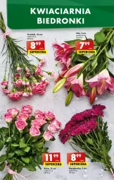 Gazetka promocyjna Biedronka - W tym tygodniu - Gazetka - ważna od 01.10 do 01.10.2022 - strona 49 - produkty: Sok, Róża, 