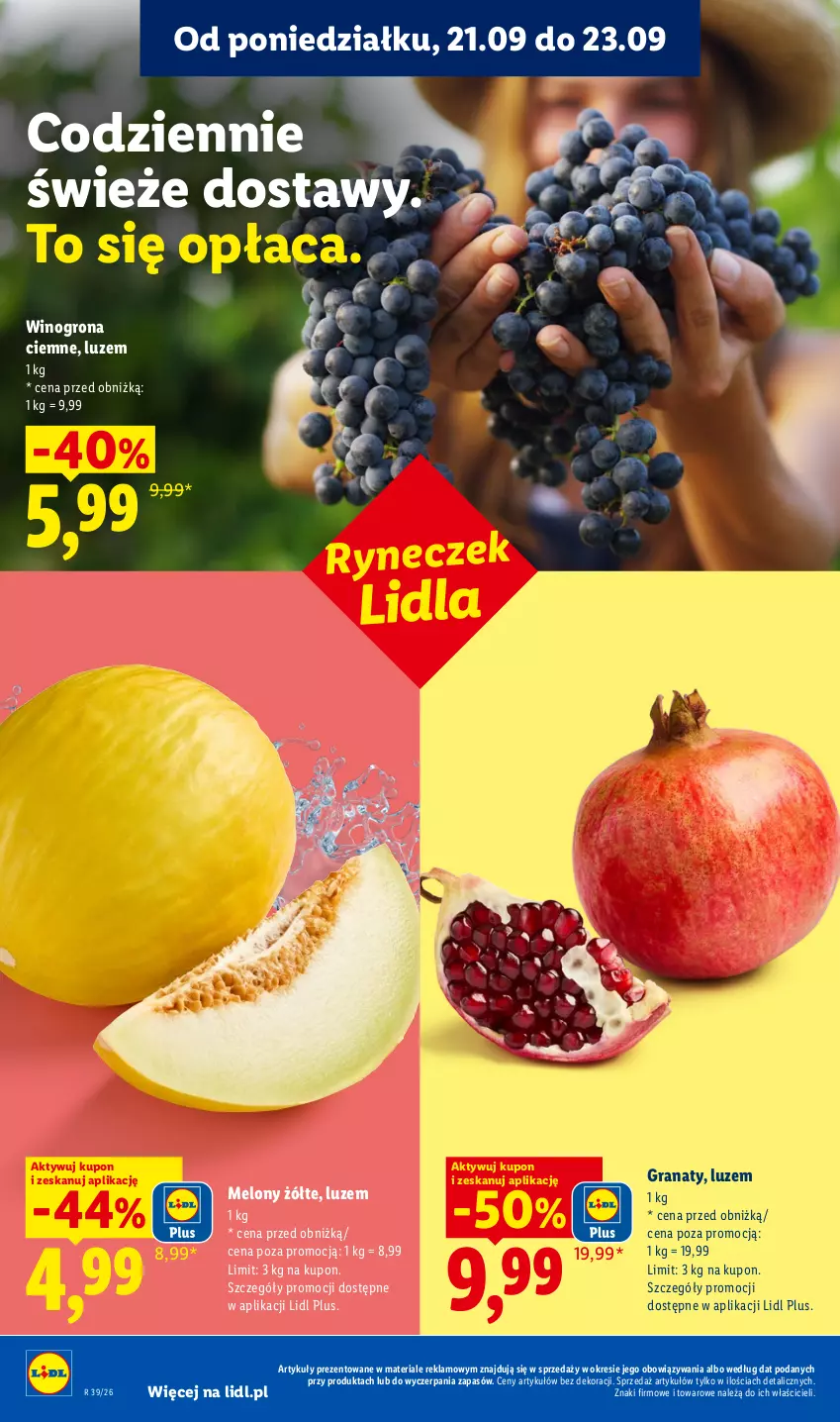Gazetka promocyjna Lidl - Gazetka ważna od 21.09. do 23.09 - ważna 21.09 do 23.09.2026 - strona 36 - produkty: Gra, Granat, Melon, Wino, Winogrona