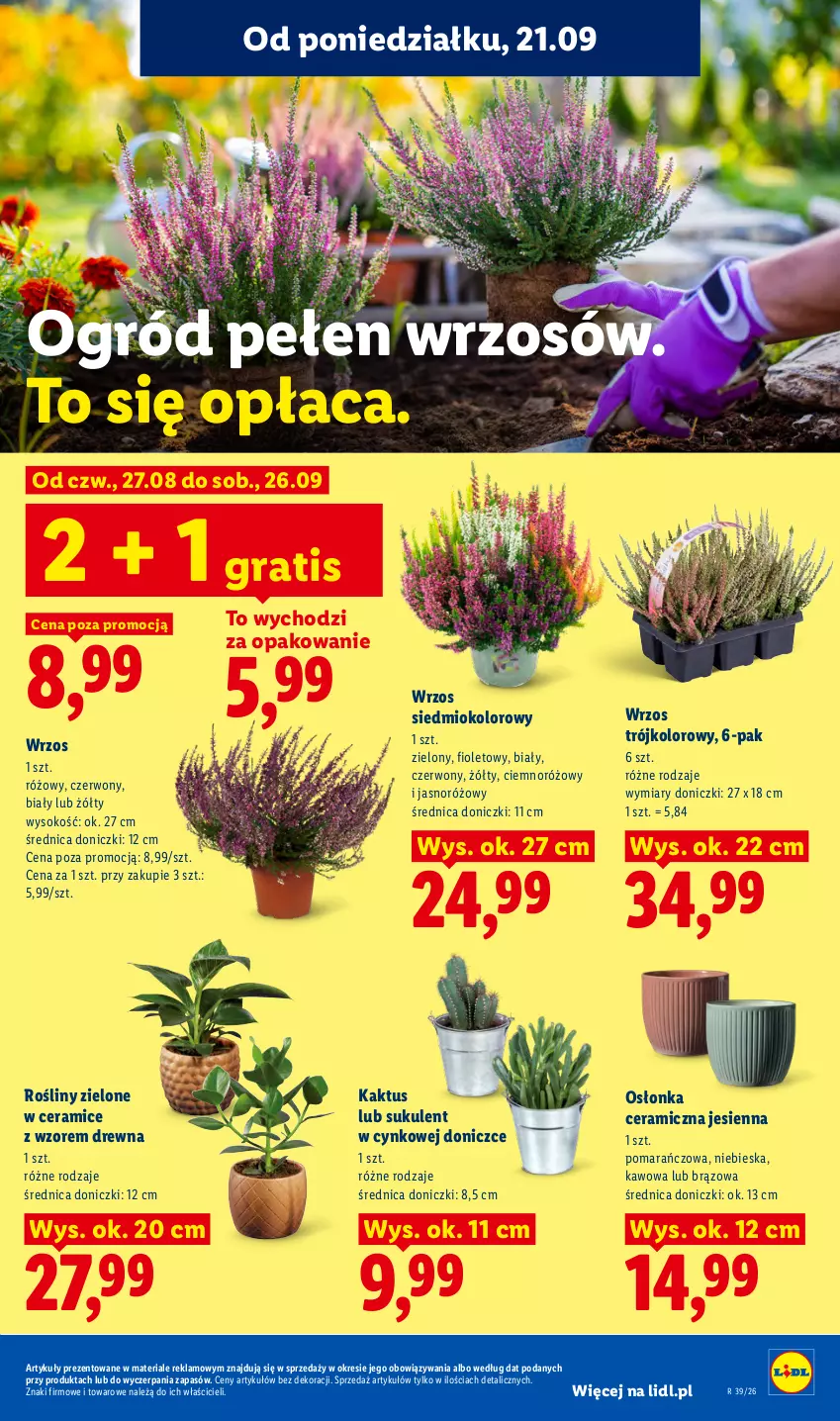 Gazetka promocyjna Lidl - Gazetka ważna od 21.09. do 23.09 - ważna 21.09 do 23.09.2026 - strona 91 - produkty: Cynk, Gra, Kaktus, Ogród, Osłonka, Sok, Sukulent