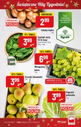 Gazetka promocyjna PoloMarket - Gazetka pomocyjna - Gazetka - ważna od 22.11 do 22.11.2022 - strona 13 - produkty: Cebula, Gruszki, Wino, Ogród, Szpinak, Fa