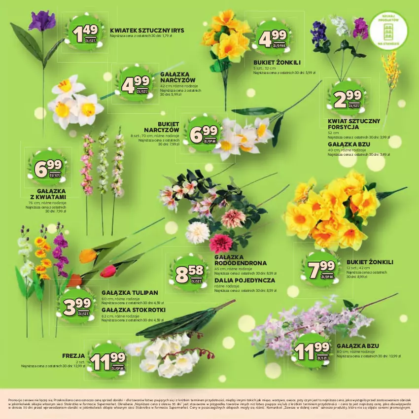 Gazetka promocyjna Stokrotka - Katalog Wielkanocny! - ważna 19.03 do 08.04.2026 - strona 3 - produkty: Bukiet, Mięso, Narcyz, Owoce, Tulipan, Warzywa