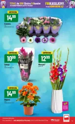 Gazetka promocyjna PoloMarket - Gazetka - ważna od 13.08 do 13.08.2024 - strona 5 - produkty: Miecz