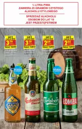 Gazetka promocyjna Biedronka - Nowy rok - Gazetka - ważna od 09.01 do 09.01.2022 - strona 40 - produkty: Piwo, Tera