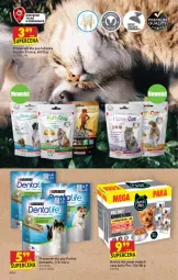Gazetka promocyjna Biedronka - W tym tygodniu - Gazetka - ważna od 25.08 do 25.08.2021 - strona 60 - produkty: Pur, Purina, , Przysmaki, Przysmak dla psa