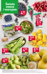 Gazetka promocyjna Stokrotka - Market - Gazetka - ważna od 31.01 do 31.01.2024 - strona 9 - produkty: Sałatka, Warzywa, Cytryny, Sałat, Pomelo, Gruszki, Owoce, Seler naciowy, Rzodkiewka, Mięso