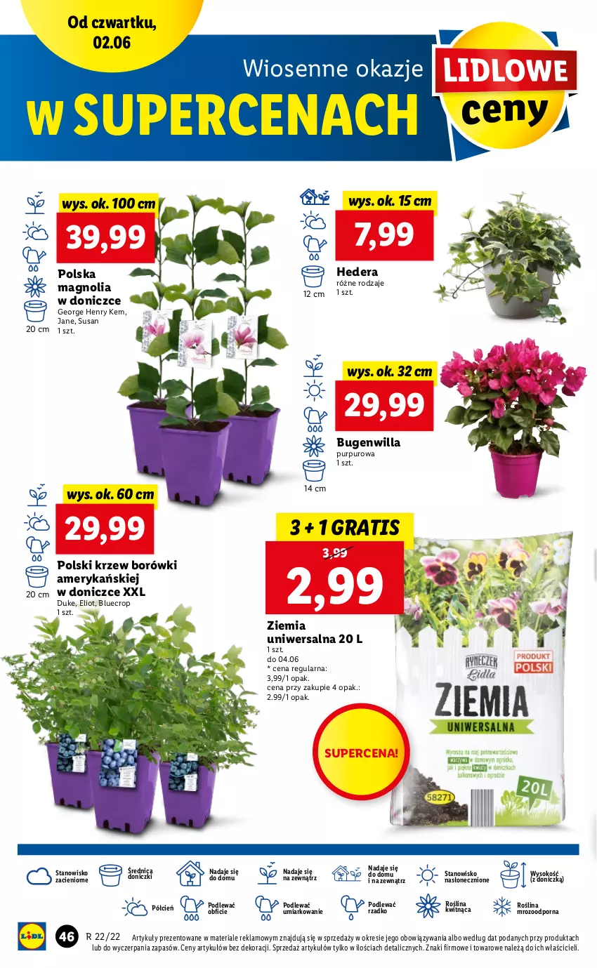 Gazetka promocyjna Lidl - GAZETKA - ważna 02.06 do 04.06.2022 - strona 46 - produkty: Cień, Gra, O nas, Por, Pur, Sok