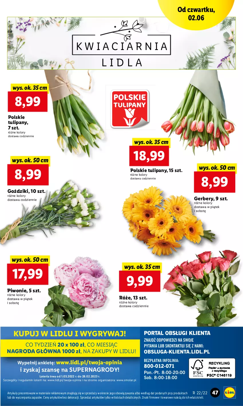 Gazetka promocyjna Lidl - GAZETKA - ważna 02.06 do 04.06.2022 - strona 47 - produkty: Gerber, Gry, Mola, Piwo, Tulipan