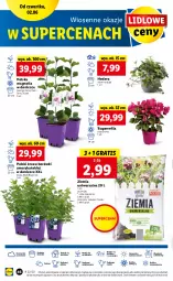 Gazetka promocyjna Lidl - GAZETKA - Gazetka - ważna od 04.06 do 04.06.2022 - strona 46 - produkty: Sok, Por, Pur, Gra, Cień, O nas