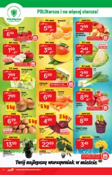 Gazetka promocyjna PoloMarket - Gazetka pomocyjna - Gazetka - ważna od 08.02 do 08.02.2022 - strona 6 - produkty: Mandarynki, Kosz, Kiwi, Tera, Wino