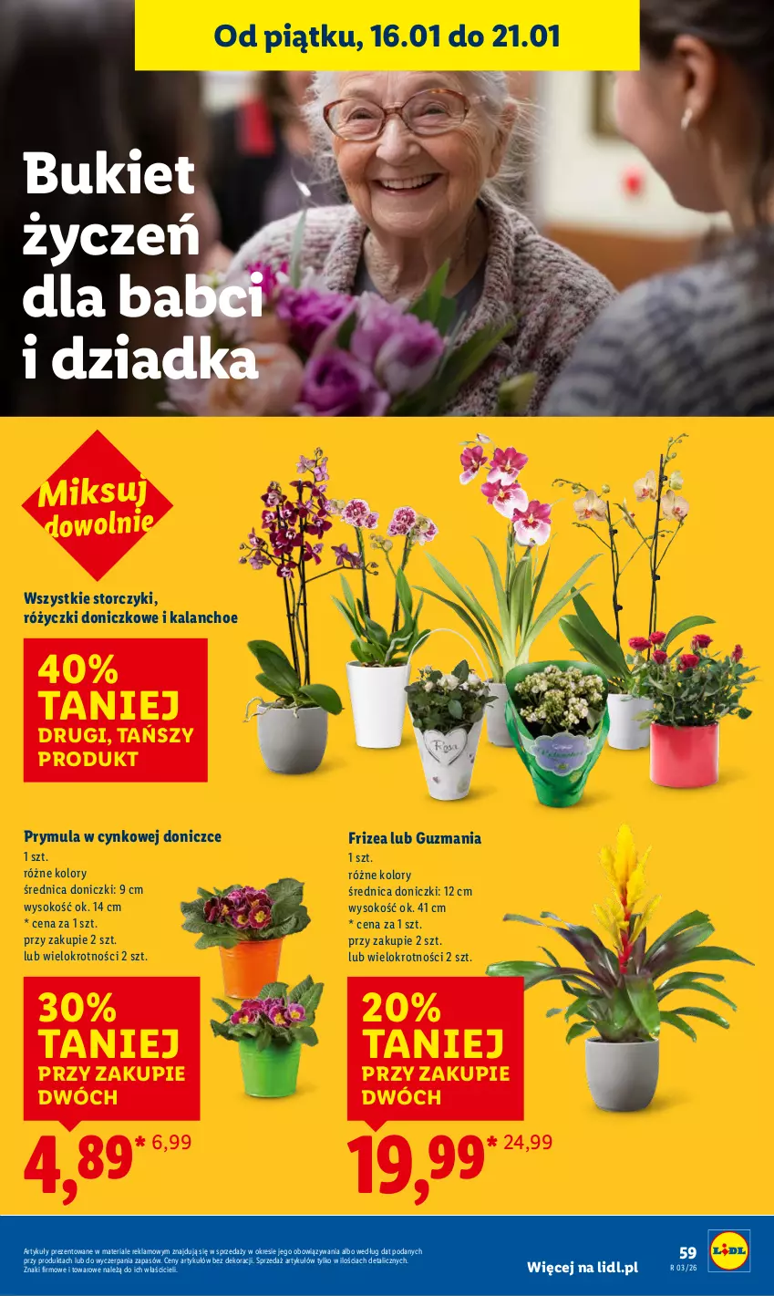 Gazetka promocyjna Lidl - GAZETKA - ważna 15.01 do 17.01.2026 - strona 59 - produkty: Bukiet, Cynk, Kalanchoe, Prymula, Sok, Storczyk