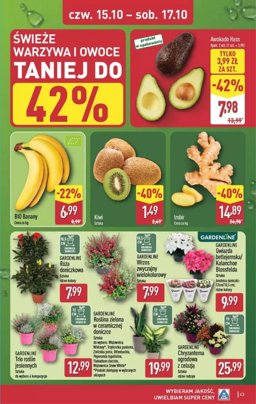 Gazetka promocyjna Aldi - Pełna oferta - ważna 12.10 do 17.10.2026 - strona 43 - produkty: Chia, Chryzantema, Gwiazda, Kalanchoe, Owoce, Róża, Warzywa