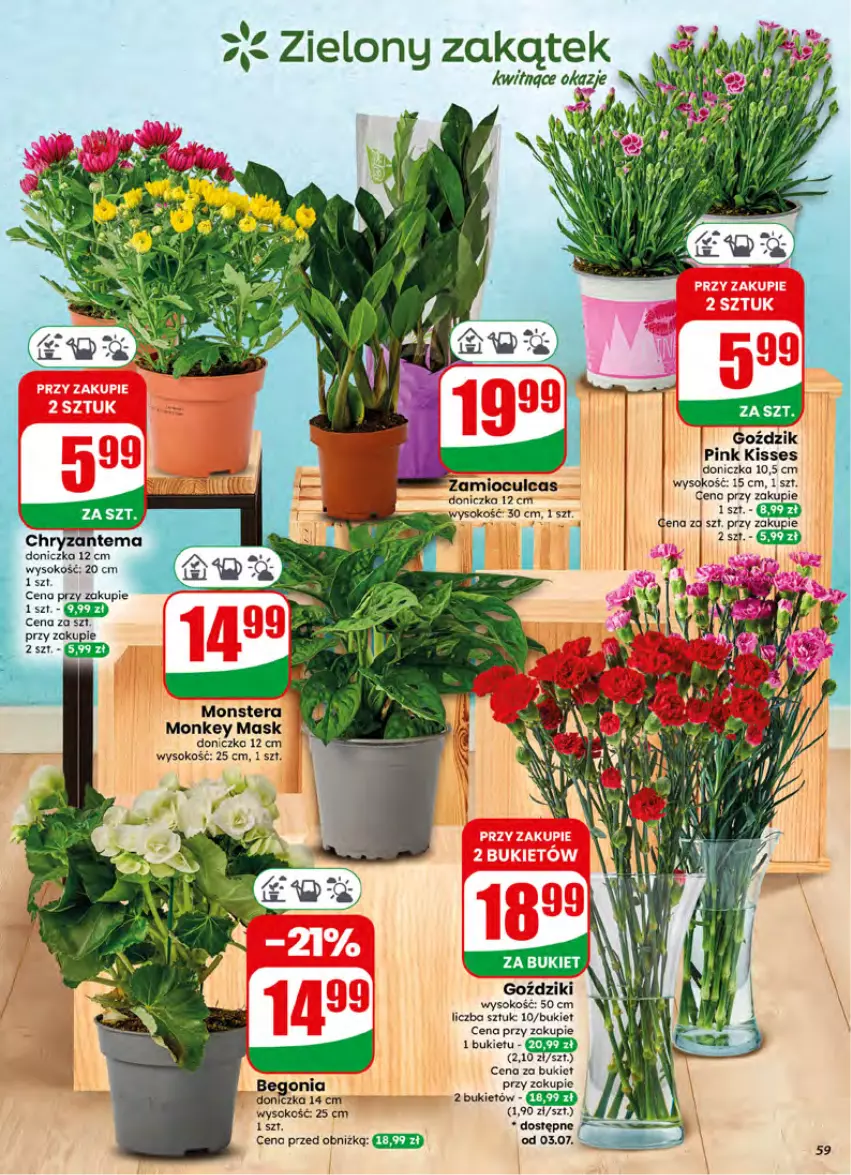 Gazetka promocyjna Dino - Gazetka 27 / 2026 - ważna 01.07 do 07.07.2026 - strona 59 - produkty: Bukiet, Chryzantema, Sok, Tera