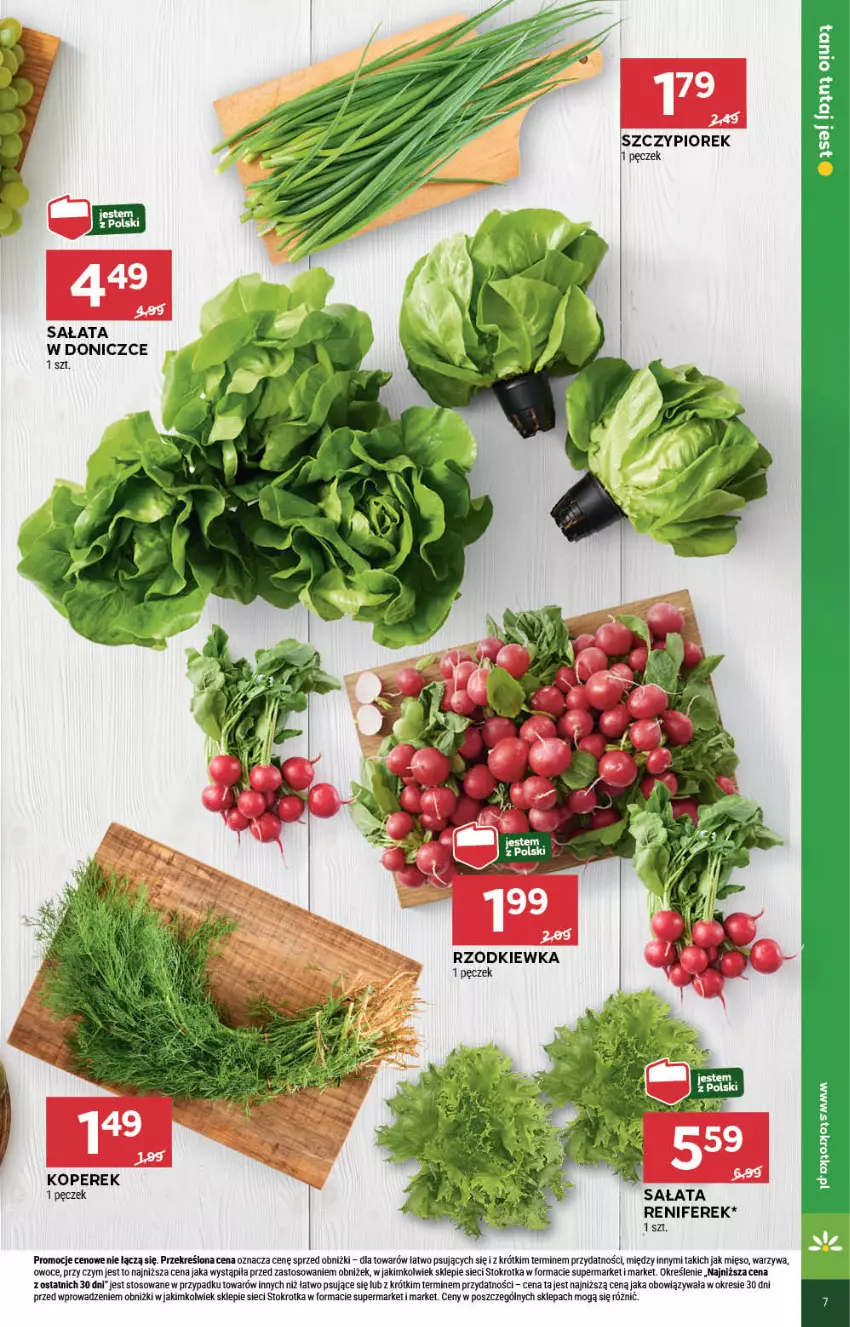 Gazetka promocyjna Stokrotka - Market - ważna 20.06 do 26.06.2024 - strona 9 - produkty: Mięso, Owoce, Renifer, Rzodkiewka, Sałat, Warzywa