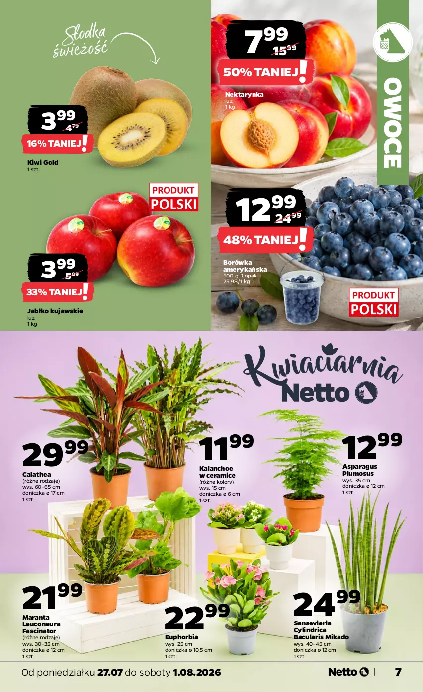 Gazetka promocyjna Netto - Od Poniedziałku - ważna 27.07 do 01.08.2026 - strona 7 - produkty: Borówka, Borówka amerykańska, Fa, Kalanchoe, Kiwi, Kujawski, Nektar, Nektarynka, Owoce