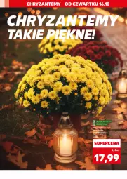 Gazetka promocyjna Kaufland - Kaufland - Gazetka - ważna od 22.10 do 22.10.2025 - strona 2 - produkty: Fa